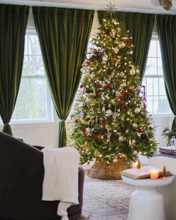 20221115140235_IMG_7716_2 10' King Fraser Fir Artificial Christmas Tree with 1600 Warm White & Multi-Color LED Lights