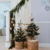 3' King Noble Fir Tabletop Tree with 70 Warm White LED Lights