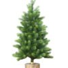 3' Royal Fir Tabletop Tree with 100 Warm White LED Lights