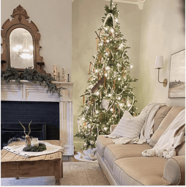 10' Alpine Fir Slim Artificial Christmas Tree Unlit