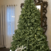 10' Cypress Spruce Artificial Christmas Tree with 2300 Warm White & Multi-Color LED Lights