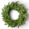 24" Cypress Spruce Wreath Unlit