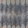 Frozen Branch Picks (12 Pack) | King of Christmas