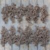 Champagne Berry Picks (12 Pack)