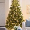 10' King Fraser Fir Artificial Christmas Tree with 1600 Warm White & Multi-Color LED Lights