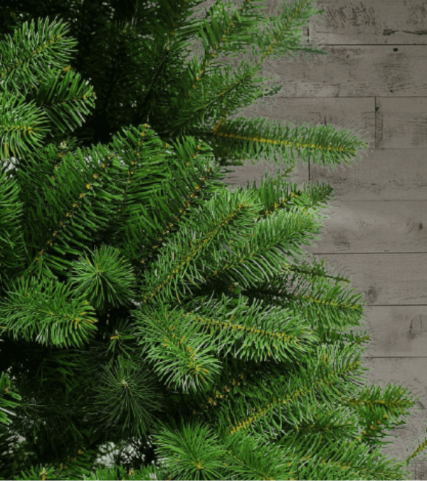 10' King Douglas Fir Slim Artificial Christmas Tree Unlit