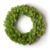 24" Royal Fir Wreath Unlit