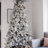 Winter Frost 15-Piece Glass Ornament Set (White-Silver)