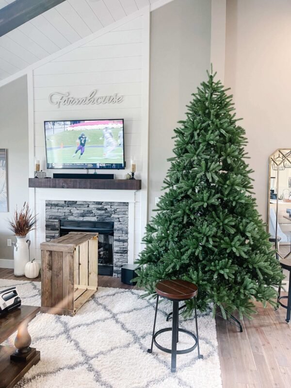 kingfraserfir_16cc6109-8876-4b83-ab4f-7facf24a6b44 10' King Fraser Fir Artificial Christmas Tree with 1600 Warm White & Multi-Color LED Lights