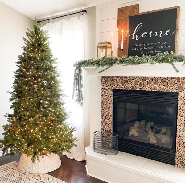 painterplacehomeco__elf_on_the_shelf_2020_11_17_11_49_33_d2687a84-5bee-4e07-add4-1f8752b1a767