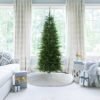 6.5' Yorkshire Fir Slim Tree with Warm White LED Lights - OPEN BOX - FINAL SALE